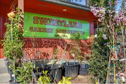 29435 State Highway 49, North San Juan, CA 95960 - Photo 6