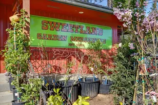 29435 State Hwy 49, North San Juan, CA 95960 - Photo 6