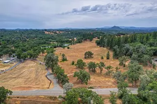 16390 Ridge Rd, Jackson, CA 95642 - Photo 88