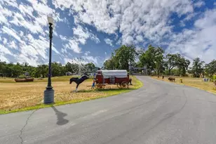 16390 Ridge Rd, Jackson, CA 95642 - Photo 10