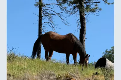 20976 Clydesdale Road, Grass Valley, CA 95949 - Photo 34
