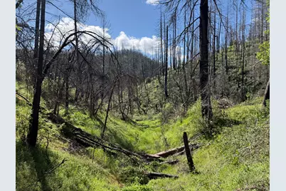 20976 Clydesdale Road, Grass Valley, CA 95949 - Photo 40