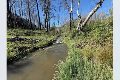 20976 Clydesdale Road, Grass Valley, CA 95949 - Photo 12