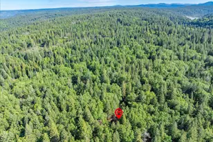 3000 Succor Ln, Foresthill, CA 95631 - Photo 46