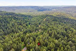 11448 Snowline Rd, Nevada City, CA 95959 - Photo 50