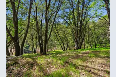 15444 Nancy Way, Grass Valley, CA 95949 - Photo 46