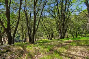 15444 Nancy Way, Grass Valley, CA 95949 - Photo 46