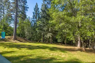 3830 Dogwood Pass Rd, Mokelumne Hill, CA 95245 - Photo 16