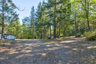 3830 Dogwood Pass Rd, Mokelumne Hill, CA 95245 - Photo 54