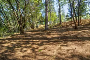 3830 Dogwood Pass Rd, Mokelumne Hill, CA 95245 - Photo 48