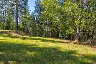 3830 Dogwood Pass Rd, Mokelumne Hill, CA 95245 - Photo 48
