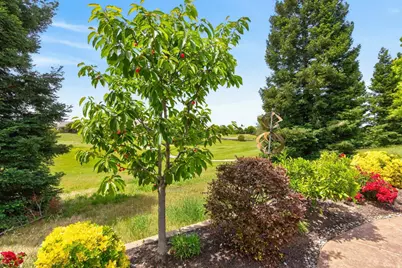 1986 Deep Springs Lane, Lincoln, CA 95648 - Photo 64