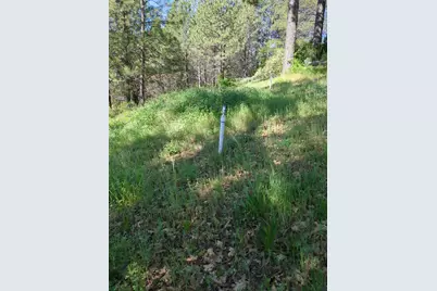 15528 Ca-49, Camptonville, CA 95922 - Photo 82