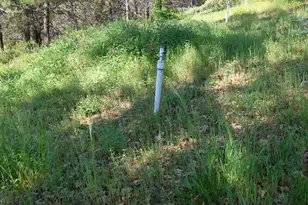15528 CA-49, Camptonville, CA 95922 - Photo 82