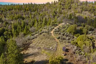 15528 CA-49, Camptonville, CA 95922 - Photo 8