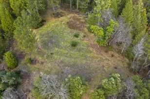 15528 CA-49, Camptonville, CA 95922 - Photo 72