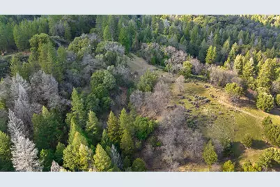 15528 Ca-49, Camptonville, CA 95922 - Photo 46