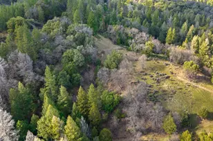 15528 CA-49, Camptonville, CA 95922 - Photo 46