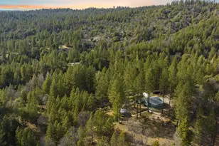 15528 CA-49, Camptonville, CA 95922 - Photo 40