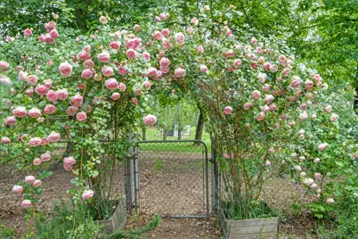 8495 Chili Hill Road, Newcastle, CA 95658 - Photo 36