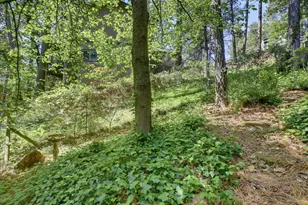 21349 Leslie Dr, Grass Valley, CA 95945 - Photo 60