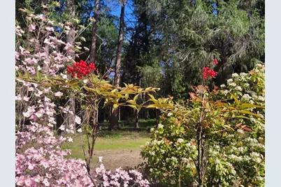 346 Gracie Road, Nevada City, CA 95959 - Photo 62