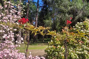 346 Gracie Rd, Nevada City, CA 95959 - Photo 62