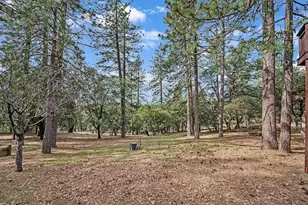 11151 Quail Dr, Pine Grove, CA 95665 - Photo 24
