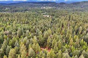 11790 Kathryn Ln, Nevada City, CA 95959 - Photo 74