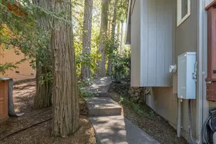 757 Larkspur Ln, Murphys, CA 95247 - Photo 40