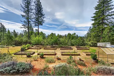 3150 Stope Drive, Placerville, CA 95667 - Photo 48
