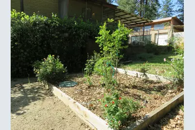 2400 Bald Mountain Road, West Point, CA 95255 - Photo 28