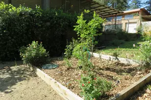 2400 Bald Mountain Rd, West Point, CA 95255 - Photo 28
