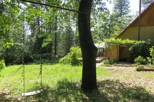 2400 Bald Mountain Rd, West Point, CA 95255 - Photo 4