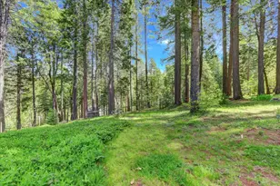 19793 Scotts Flat Rd, Nevada City, CA 95959 - Photo 44