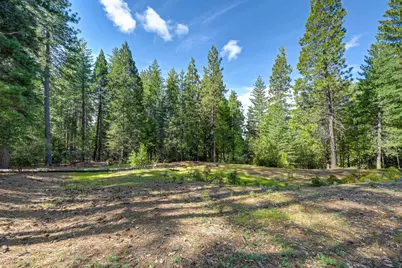 2025 King Of The Mountain Court, Pollock Pines, CA 95726 - Photo 22