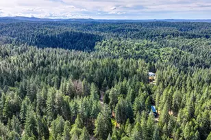 2025 King of the Mountain Ct, Pollock Pines, CA 95726 - Photo 60