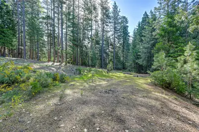 2025 King Of The Mountain Court, Pollock Pines, CA 95726 - Photo 10