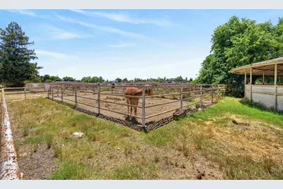 24390 N Jack Tone Road, Acampo, CA 95220 - Photo 12