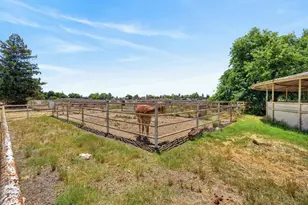24390 N Jack Tone Rd, Acampo, CA 95220 - Photo 12