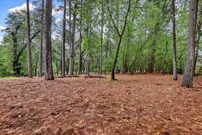 16005 Langley Place, Grass Valley, CA 95949 - Photo 60