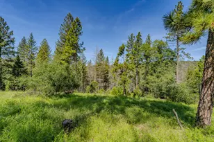 4040 Cedar Creek Rd, Mount Aukum, CA 95629 - Photo 38