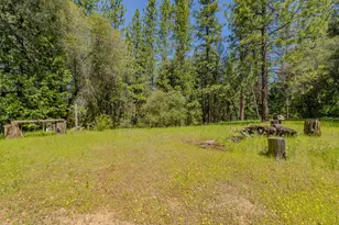 4040 Cedar Creek Rd, Mount Aukum, CA 95629 - Photo 42