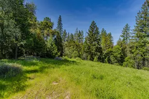 4040 Cedar Creek Rd, Mount Aukum, CA 95629 - Photo 36