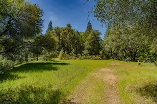 4040 Cedar Creek Rd, Mount Aukum, CA 95629 - Photo 40