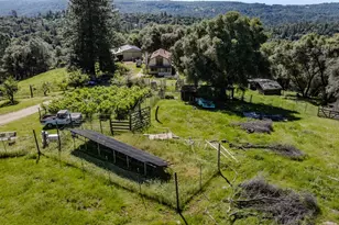 17800 Red Mule Rd, Fiddletown, CA 95629 - Photo 4