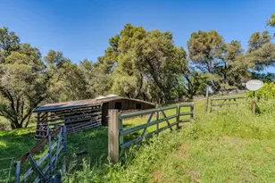 17800 Red Mule Rd, Fiddletown, CA 95629 - Photo 68