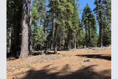 30082 Buckthorn Lane, Nevada City, CA 95959 - Photo 4