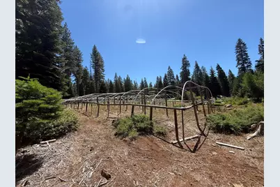 30082 Buckthorn Lane, Nevada City, CA 95959 - Photo 32