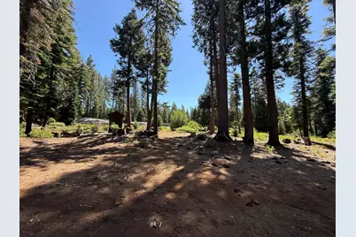 30082 Buckthorn Lane, Nevada City, CA 95959 - Photo 36